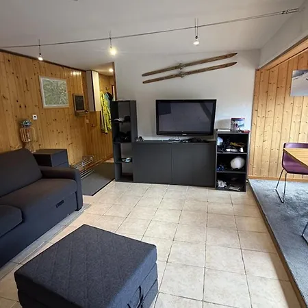 Appartement Au Cåur De La Station - Anim. Ok - Fr-1-787-153 Laveissière