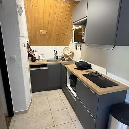 Au Cåur De La Station - Anim. Ok - Fr-1-787-153 Appartement Laveissière